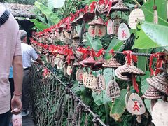 -呀诺达热带雨林