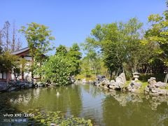 -江心屿景区