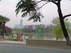 -月湖风景区