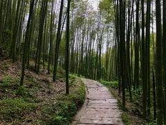 -蜀南竹海景区