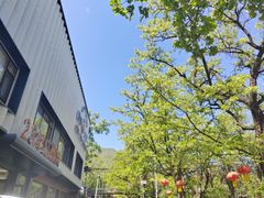 -丽泽山庄·生态怀柔菜·虹鳟鱼(红螺寺店)
