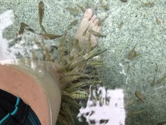 -罗浮山嘉宝田森林温泉度假酒店