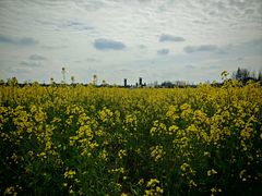 -中国天府农业博览园