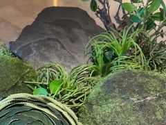 -艺水间水汇