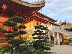 -上海东林寺(金山区)