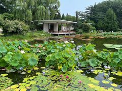 -国家植物园南园