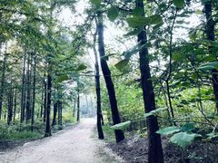 -日照海滨国家森林公园