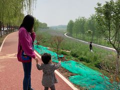-洨河生态公园