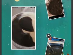 -鞠氏黑芝麻糊(水塔店)