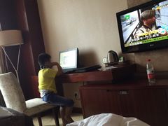 维景国际大酒店-南京维景国际大酒店(南京博物院店)