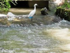 -汇龙潭