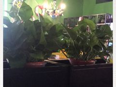 -川渝窈妹纸包鱼·齐齐哈尔烤肉