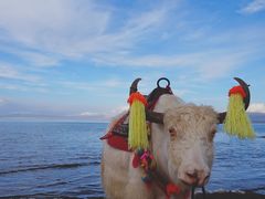 -青海湖国家重点风景名胜区