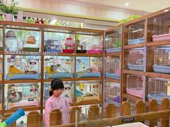 -宠物兔专门店(天丰利市场店)