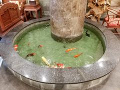 -古莲·影院足道·按摩SPA(水上温泉店)