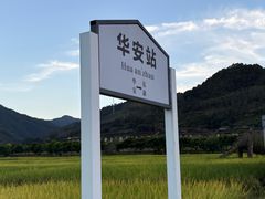 -福建土楼（华安）旅游区•大地土楼群