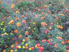 -沕沕水生态风景区