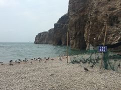 -海驴岛(荣成市)