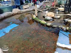 -鸿通城购物中心