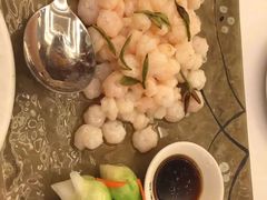 -张生记(双菱店)