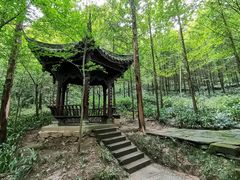 -凤栖山