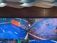 -Swim斯卫姆国际儿童游泳中心(红博中央公园店)