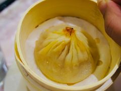 -新光酒家·河豚·海鲜·蟹料理(浦东店)