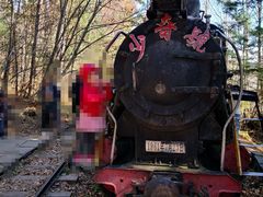 -五营红松林海景区