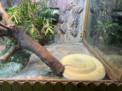 -上海大自然野生昆虫馆