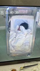 -添囍月子会所