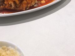 -蝶园·装修中(BFC外滩金融中心店)