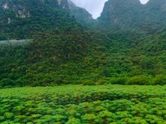 -靖西鹅泉风景区