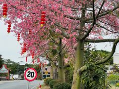 -大旗头古村