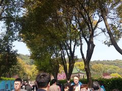 -无锡市乌鹤山公墓办事处