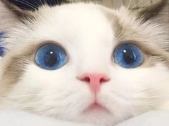 -金青果甄选KTV(劳动公园店)