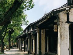 -黎里古镇