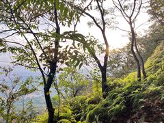 -风云岭森林公园