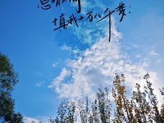 -大召寺明清一条街