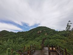 -大岭沟猕猴桃谷风景区