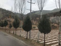 -梁家河村红色旅游区