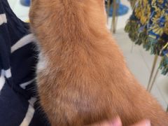 -平行世界·猫咖(首经贸店)