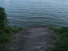 -艾溪湖湿地公园