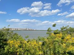 -天津东丽湖风景区