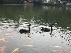 -东莞市可园博物馆