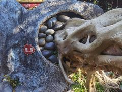 -瑞丽独树成林风景区