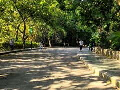 -水濂山森林公园