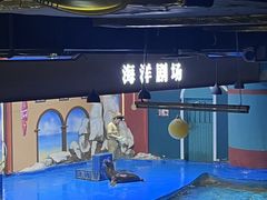 -重庆欢乐海底世界