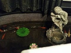 android_upload_pic-江南原著(中联广场店)