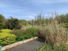 -昆山城市生态森林公园