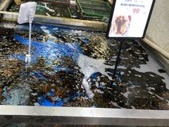 波士顿龙虾-七鲜超市(万向城店)